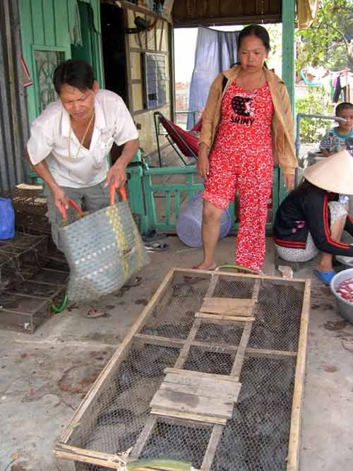 Những phụ nữ kiếm tiền "lì" nhất miền Tây - 6