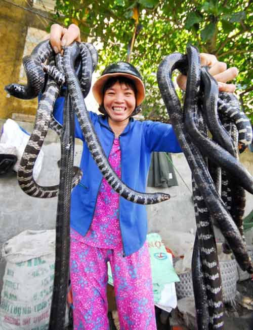 Những phụ nữ kiếm tiền "lì" nhất miền Tây - 7
