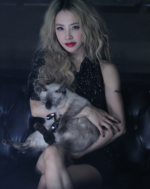 Nhan sắc Hong Kong lại cởi đồ - 8