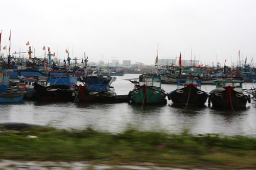 Cận cảnh dân Đà Nẵng đối phó bão số 8 - 8