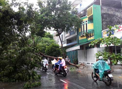 Cận cảnh dân Đà Nẵng đối phó bão số 8 - 14