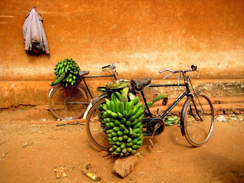 Vòng quanh thế giới trên chiếc xe đạp - 7