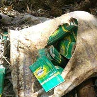 Tin tức trong ngày - Vụ chôn thuốc trừ sâu: Phạt hơn 400 triệu đồng