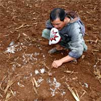 Thú dữ về làng là báo Hoa Mai