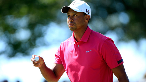 FedEx Cup: Cờ trong tay Tiger Woods - 1