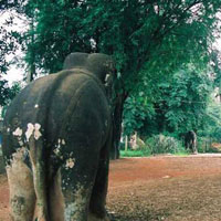 Du lịch - Thành Hoàng Đế và những cuộc hội ngộ lịch sử