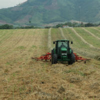 Thị trường - Tiêu dùng - Làm nông nghiệp thôi thì chỉ ổn, không giàu