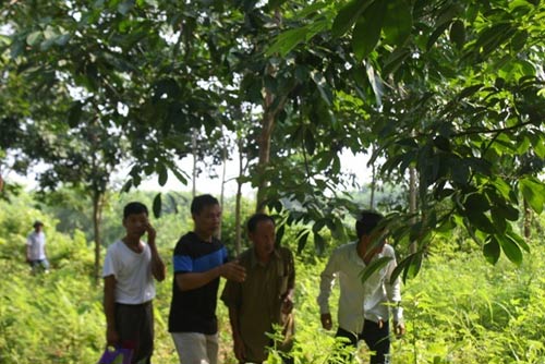 Cuộc trục vớt xe Innova và nạn nhân qua ảnh - 8