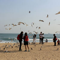 Hàn Quốc: Tình yêu và nỗi nhớ