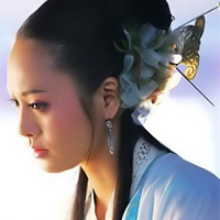- Mỹ nhân Kim Dung mê hoặc cánh mày râu