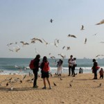 Hàn Quốc: Tình yêu và nỗi nhớ