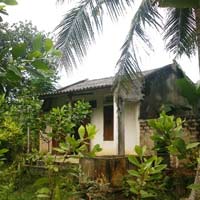 Tin tức trong ngày - Treo cổ tự tử sau khi con và cháu uống thuốc độc