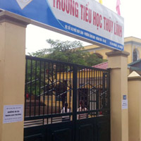 Giáo dục - du học - Náo loạn lịch học vì “heo vàng”