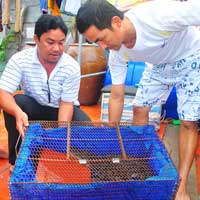 Tin tức trong ngày - "Cá sấu biết sủa" bị dọa... làm thịt