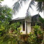 Tin tức trong ngày - Treo cổ tự tử sau khi con và cháu uống thuốc độc