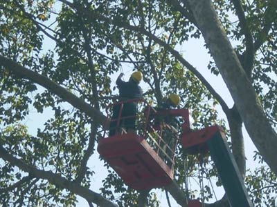 Còn lương "khủng" sẽ kỷ luật GĐ Sở Tài chính - 2