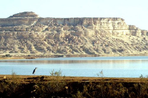 Hình ảnh 18 nước Huyền Chip đã đi qua - 16