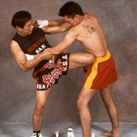 Thể thao - 7 loại kỹ thuật gối Muay Thai