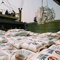 Thị trường - Tiêu dùng - Xuất khẩu nông sản tiếp tục sụt giảm mạnh