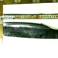 Pháp luật - Cầm dao chém cha vì không cho tiền chơi game