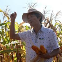 Tài chính - Bất động sản - Những cuộc dấn thân âm thầm của "ông lớn" Việt