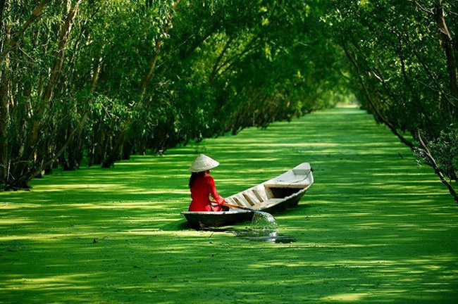 8. Đồng bằng sông Cửu Long:&nbsp;Là một bộ phận của châu thổ sông Mê Kông, còn được gọi là đồng bằng Nam Bộ hoặc miền Tây Nam Bộ, tổng diện tích là 40.548,2km vuông. Do có bờ biển dài và sông Mê Kông chia thành nhiều nhánh sông, kênh rạch, cù lao, đảo và quần đảo lớn nhỏ, nơi đây thích hợp cho các loại hình du lịch sinh thái, trải nghiệm và khám phá.
