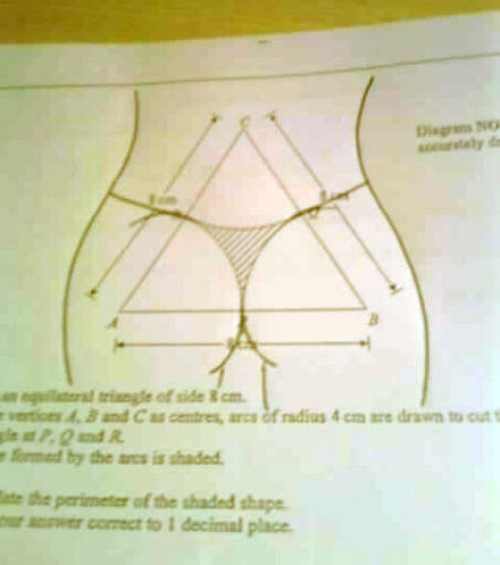 Ngất trên cành quất với những hình ảnh môn Toán 2014 - 6