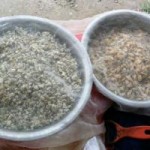 Thị trường - Tiêu dùng - Bán hến kiếm nửa triệu mỗi ngày