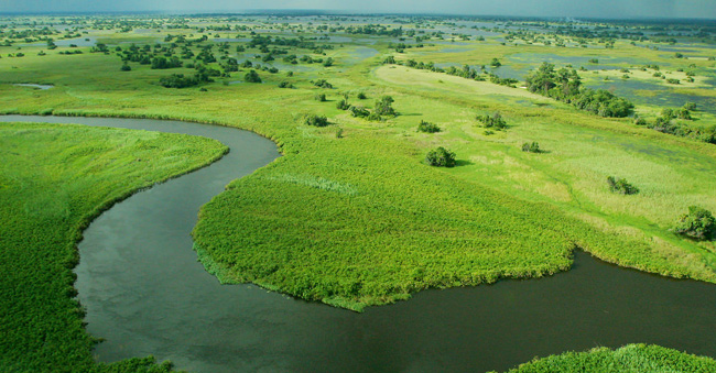 12. Vùng đồng bằng châu thổ Okavango&nbsp;thuộc nước cộng hòa Botswana:&nbsp;Okavango là một hệ thống đồng bằng châu thổ lớn được hình thành bởi con sông Okavango, với diện tích trên 2 triệu ha.&nbsp;


