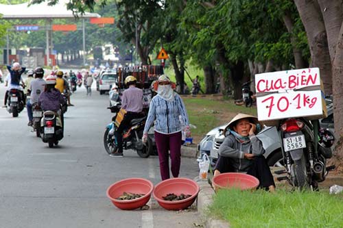Cua "siêu rẻ" 20.000 đồng/con bán khắp Sài Gòn - 1