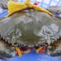 Thị trường - Tiêu dùng - Cua "siêu rẻ" 20.000 đồng/con bán khắp Sài Gòn