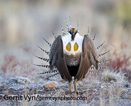 Giật mình trước những sinh vật kỳ quái - 6