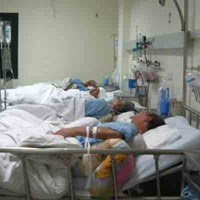 Sức khỏe đời sống - Con trai hôn mê, bố mẹ già đêm ngày trò chuyện cứu con