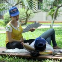 Tin tức trong ngày - Bà bầu 7 tháng ngồi quạt cho sĩ tử nghỉ trưa