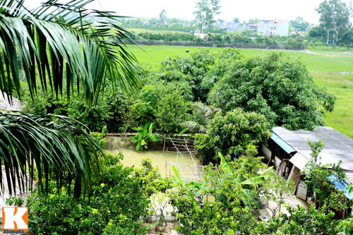 Khám phá nông trang 10.000m2 của Giang Còi - 4
