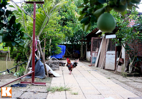 Khám phá nông trang 10.000m2 của Giang Còi - 9