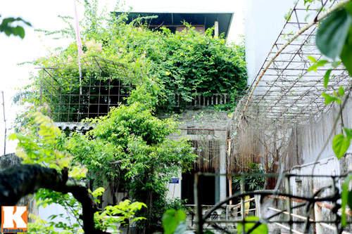 Khám phá nông trang 10.000m2 của Giang Còi - 2