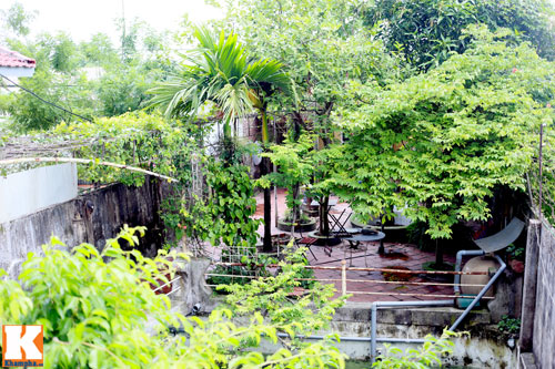 Khám phá nông trang 10.000m2 của Giang Còi - 3