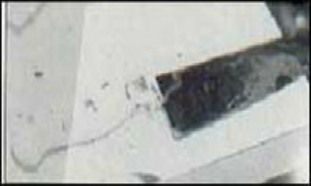 Tội ác ghê sợ của người mẹ trẻ (Kỳ 2) - 2