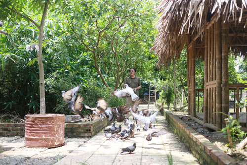 Khám phá nông trang 10.000m2 của Giang Còi - 8