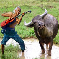 Cười 24h - Truyện ngắn "NHÀ QUÊ RA PHỐ" (10): Thơ và "bom bẩn"