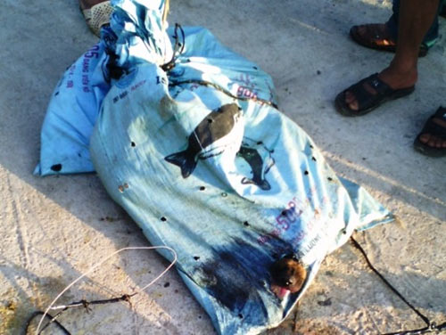 “Cẩu tặc” vứt lại bao tải chó 100 kg chạy thoát thân - 2