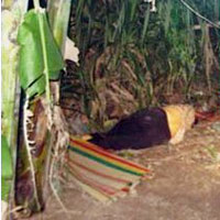 Pháp luật - Rúng động: Nghịch tử dùng búa đánh chết mẹ và bà ngoại