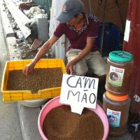Thị trường - Tiêu dùng - 'Phố' bán sâu rồng nuôi chim