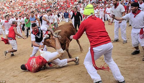 Lạ kỳ lễ hội bò tót rượt người ở Tây Ban Nha - 1