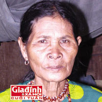 Tin tức trong ngày - Tiết lộ bí mật về kho báu vua Chăm giữa rừng hoang