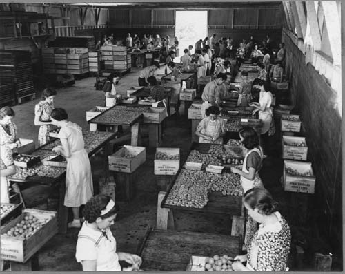 Ngắm ảnh "quá khứ" của thung lũng Silicon - 3