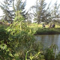 Pháp luật - Đôi nam nữ chết dưới kênh, để lại dép và xe đạp