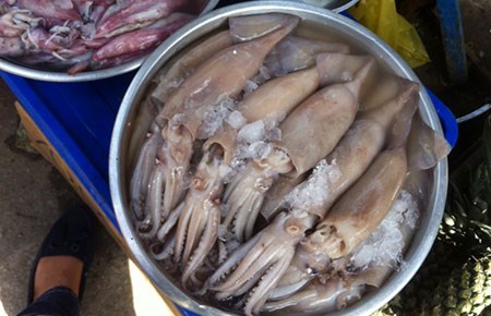 Mực lạ khiến người tiêu dùng lo lắng - 1