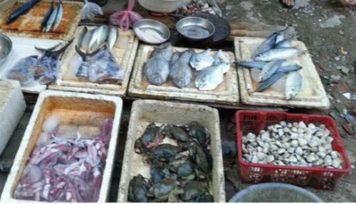 Hải sản giá rẻ: Vừa ăn vừa… run - 1